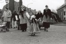 Boerenmert